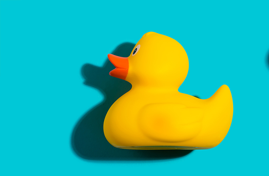 Talk to Your Rubber Ducky and More Tips for Running Your Pet