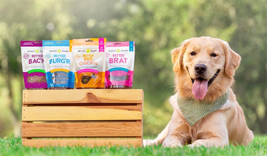 dog-with-dog-products