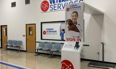 zesty paws petsmart