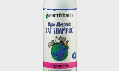 earthbath---Hypo-Allergenic-Cat-Shampoo-