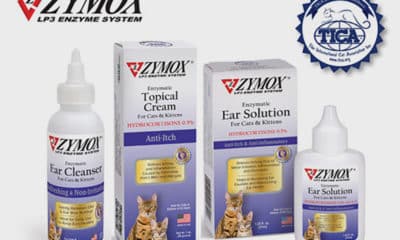 ZYMOX Enzymatic Ear and Skin Products for Cats and Kittens