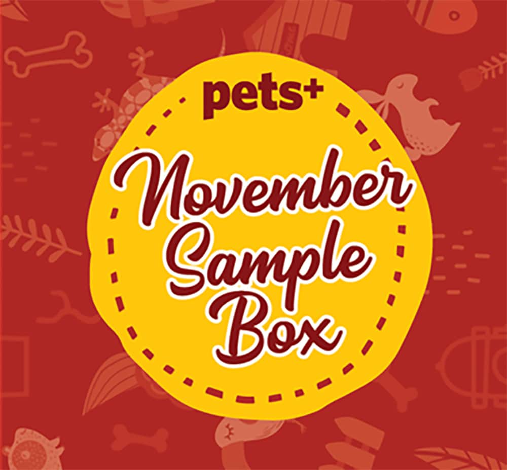 See What Was Inside the PETS+ November Sample Box!