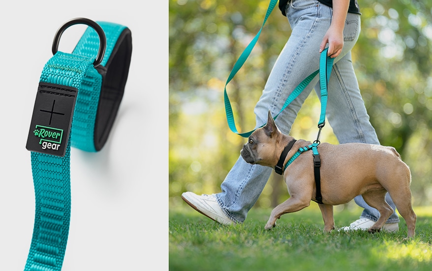 Rover-Credit_Rover-Gear_6ft-Leash_Teal_Traffic-Handle-Walk
