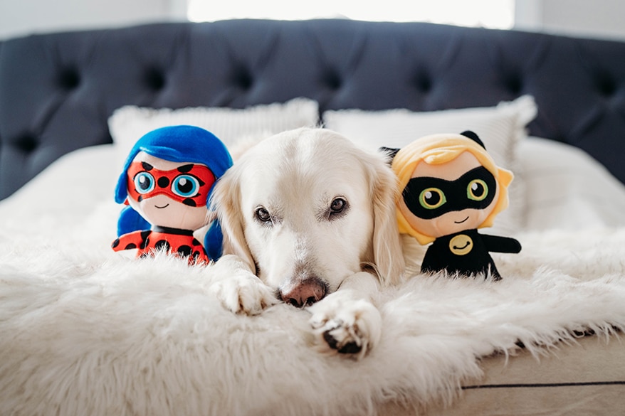 Buy Plush Dog Toys Puppy Toys Unique Design Bone Dog Toy Online in India 