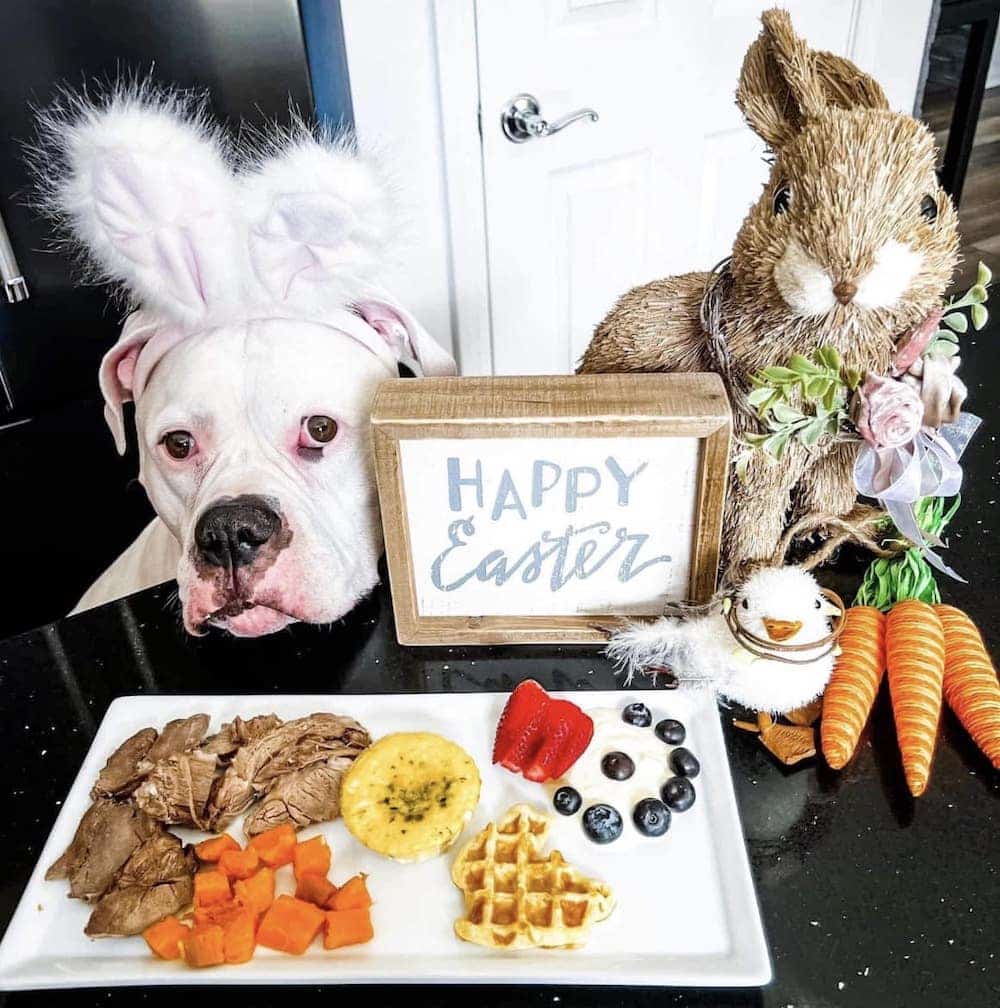 How Pet Businesses Are Celebrating — and Selling — Easter in 2023