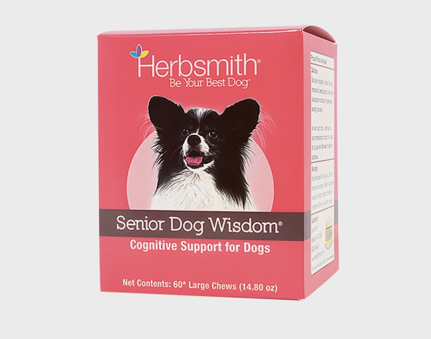 Senior-Dog-Wisdom---Herbsmith