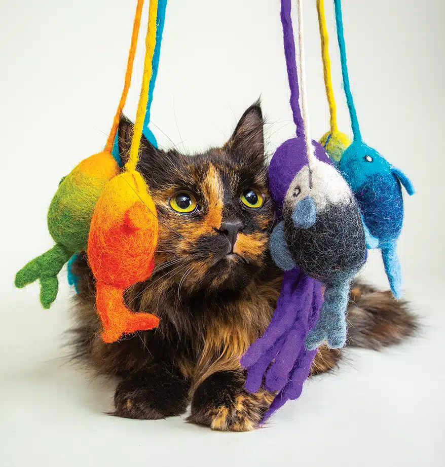 https://petsplusmag.com/wp-content/uploads/2023/05/karma_cat_wool_toys.jpg.webp