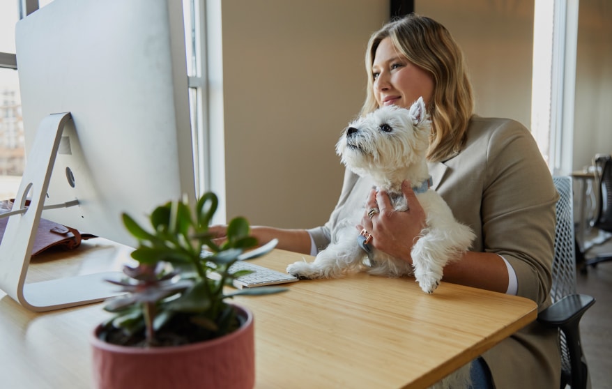 Pet parents who submit their “expense report” from June 23rd through June 30th, complete with a photo of them and their pup enjoying lunch together, will receive a $10 prepaid card for them and two CESAR WHOLESOME BOWLS meals for their pup.