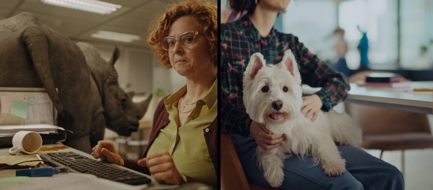 New creative campaign shows how simple and beneficial it is to have your best four-legged friend in the office, versus – say an absurd option – like a rhino. Because we’re not asking for rhino-friendly offices, just dog-friendly ones. It’s easier than you think.