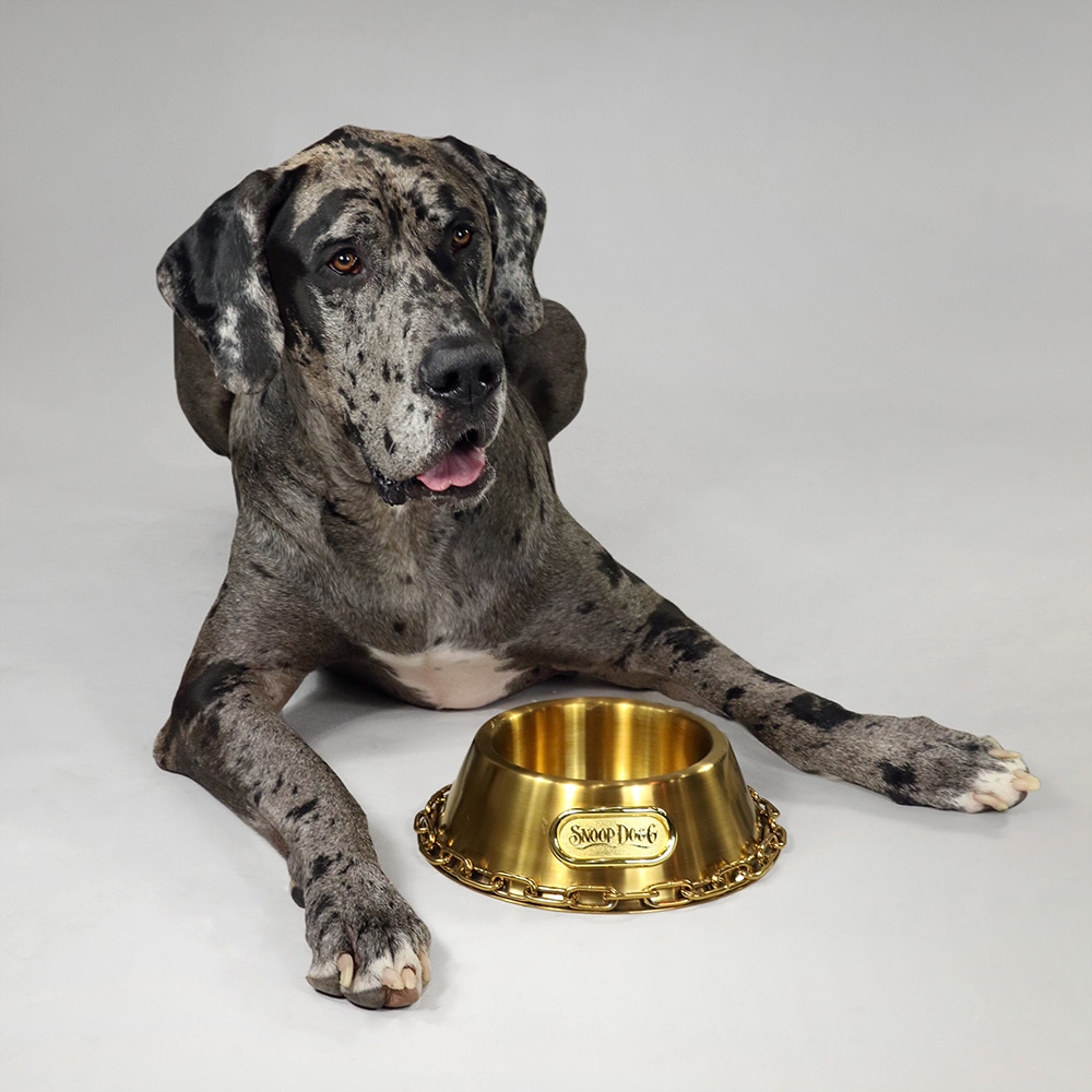 Snoop Doggie Doggs Deluxe Pet Jersey, Halftime, Medium : : Pet  Supplies