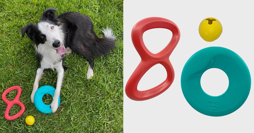 West Paw Collection of Pet Accessories Made With Ocean-Bound Plastic