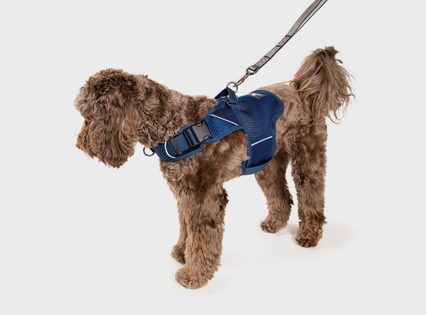 Martingale Calming Harness