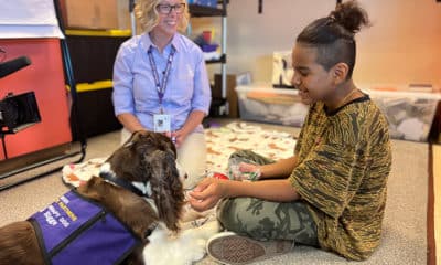 Denver Pet Partners volunteer Michelle Crawford and certified therapy dog Riggs work with Orlando Silva Hernandez at Vaughn Elementary in Aurora, CO.