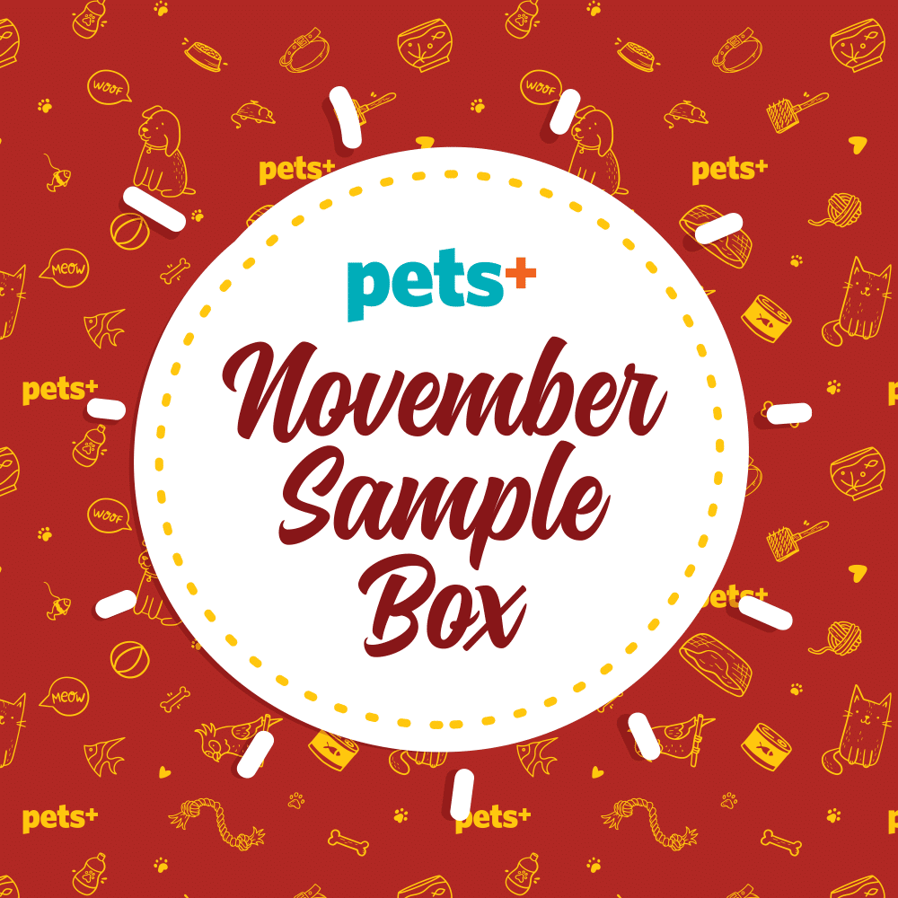 See What Was Inside the PETS+ November Sample Box!