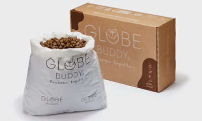 Globe-Buddy-Brown bag and box