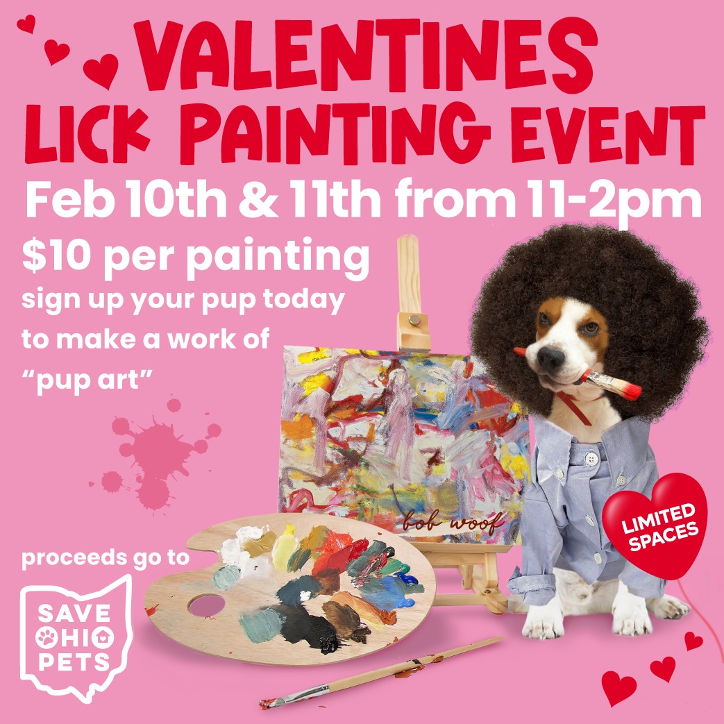 Bob Ross, Heart-Shaped Pizza and More Valentine’s Day Fun at Indie Pet Businesses