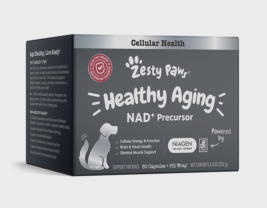Zesty-Paws-healthy aging