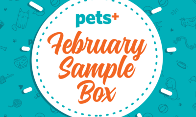 See What Was Inside the PETS+ February Sample Box!