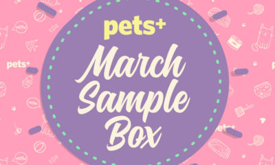 See What Was Inside the March Sample Box!