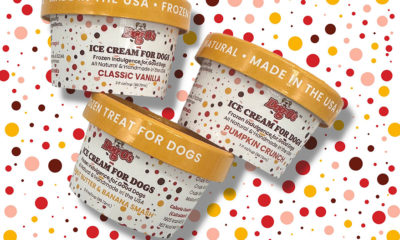 Dog-O's-Ice-Cream-for-Dogs-Trio---Rendering-on-Dots