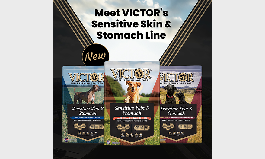 Victor Pet Food Introduces Sensitive Skin and Stomach Line For All