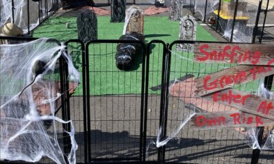 Potion Stations, Sniffari Graveyards, BYO Monster Bar and More Halloween Fun at Indie Pet Stores