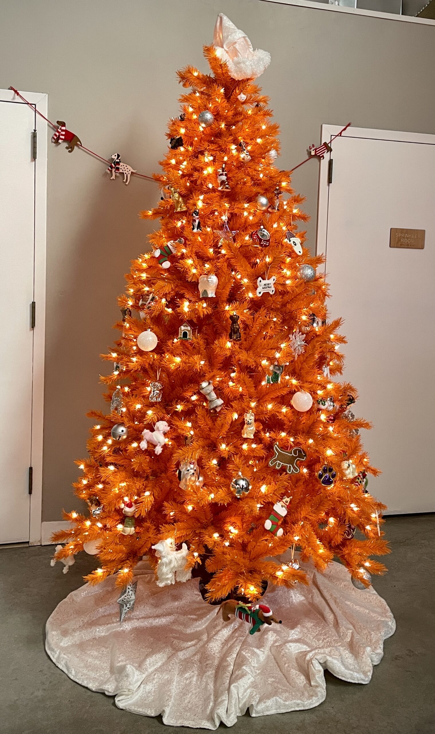 Indie Pet Stores Deck the Aisles This Holiday Season