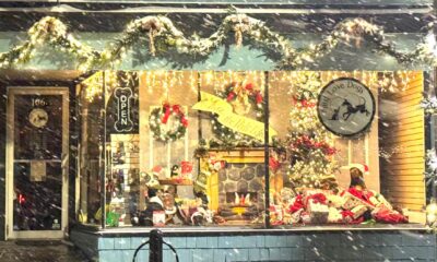 15 Festive Pet Store Holiday Windows & Doors