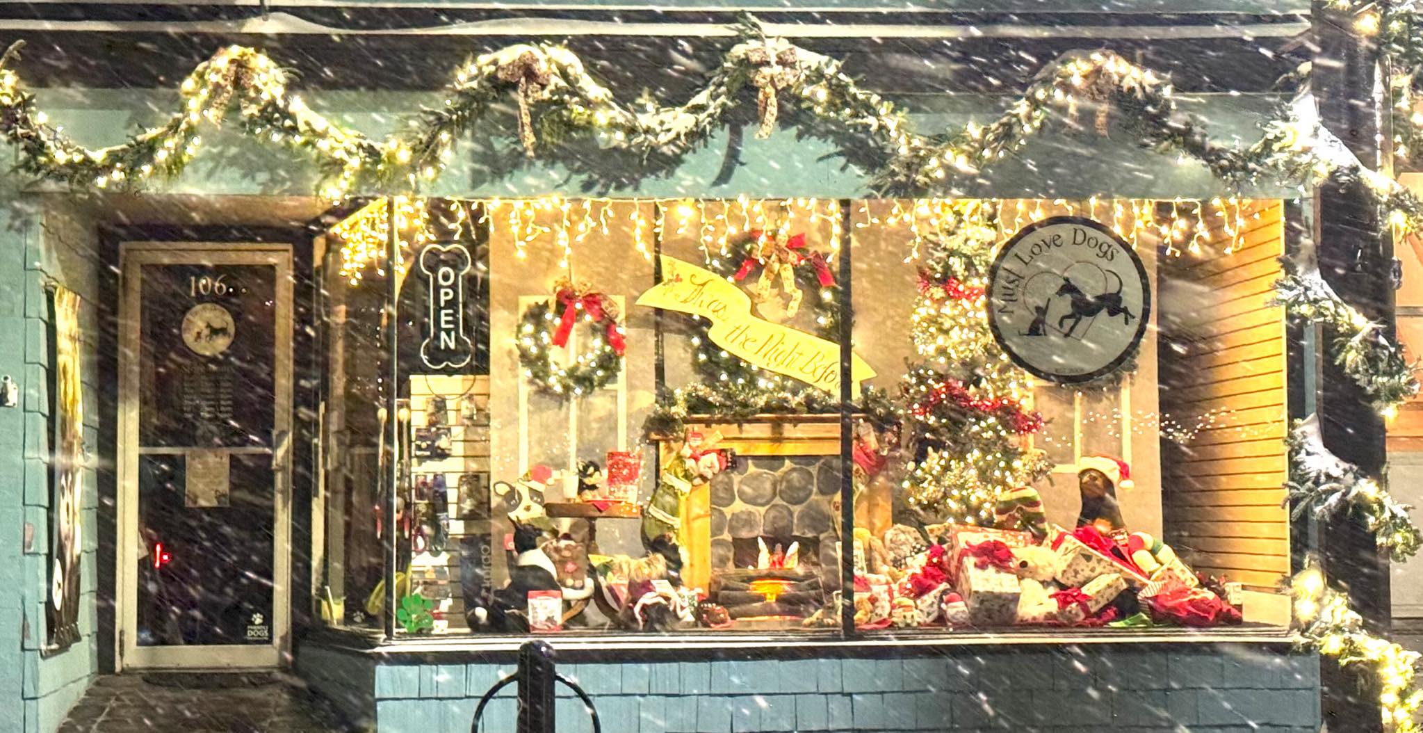 15 Festive Pet Store Holiday Windows & Doors