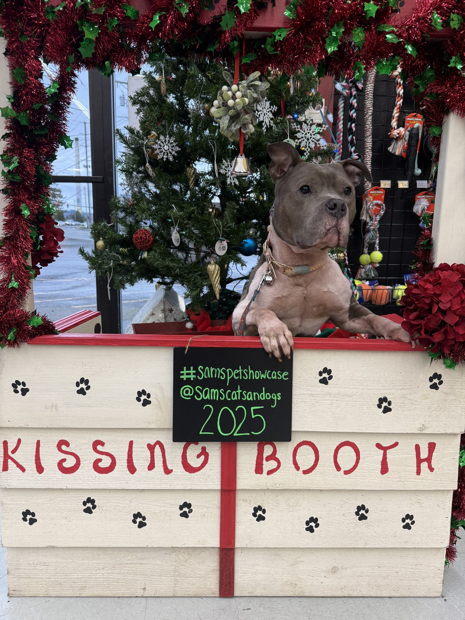Pups and Their People Take Fun Holiday Photos at Pet Stores Across the U.S.
