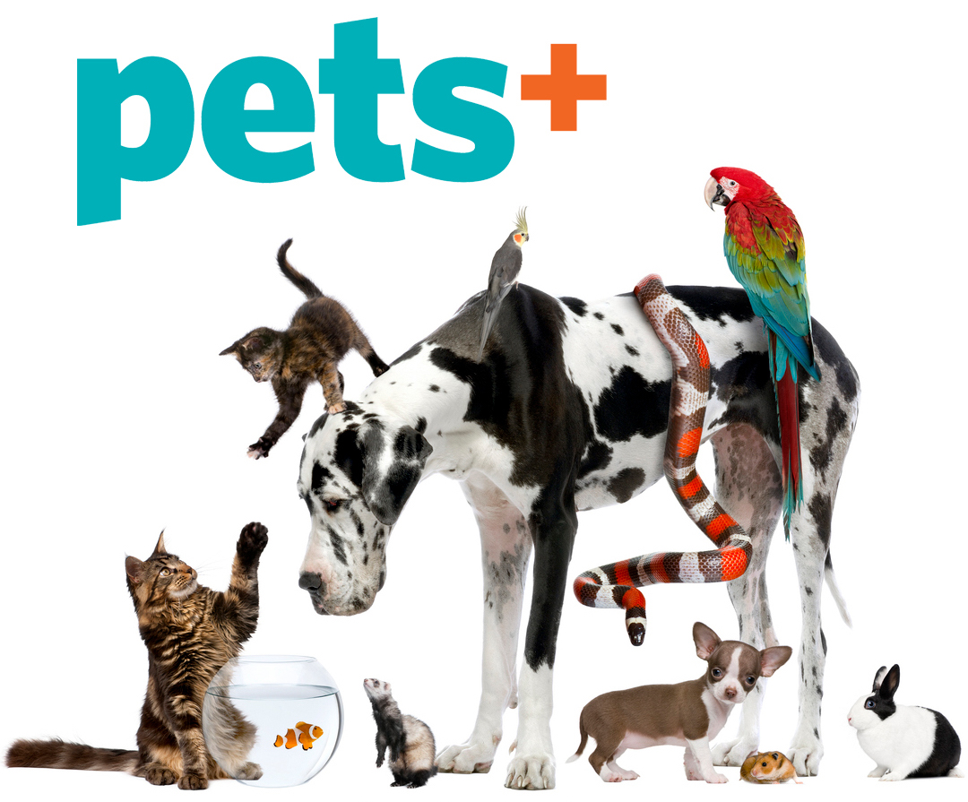 MUST SEE AT GLOBAL PET EXPO