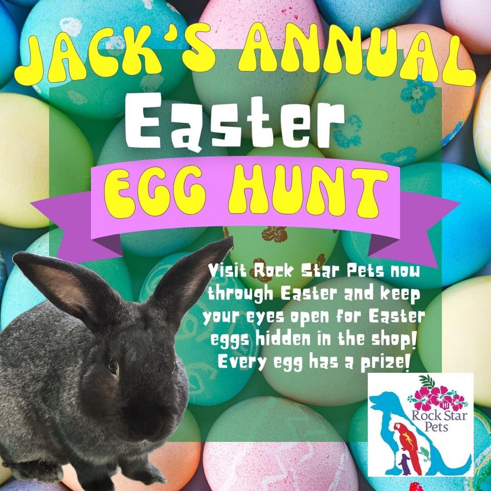 Indie Pet Stores Are Hopping With Egg Hunts and Easter Bunny Visits!